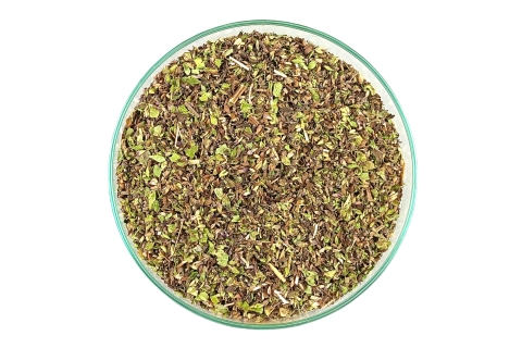 OREGANO POLSKIE Origanum vulgare